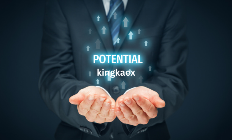 How Does KINGKAEX Ensure Security?