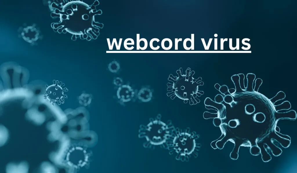 What Risks With Webcord Virus?