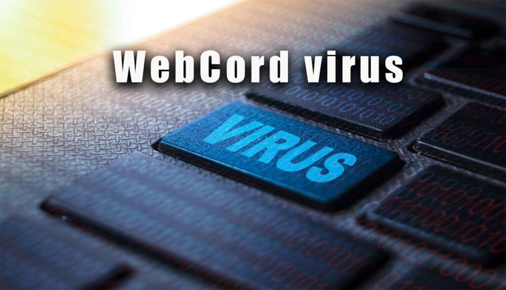 When Did The Webcord Virus Emerge?