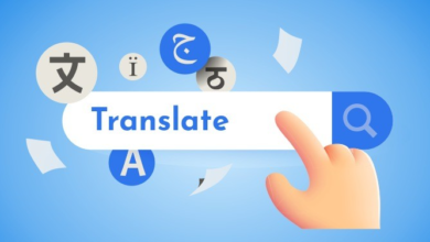 Translators as Global Communication Champions