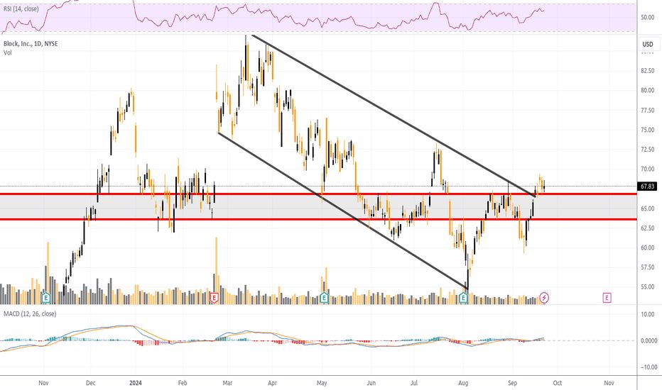 Overview of SQ Stock