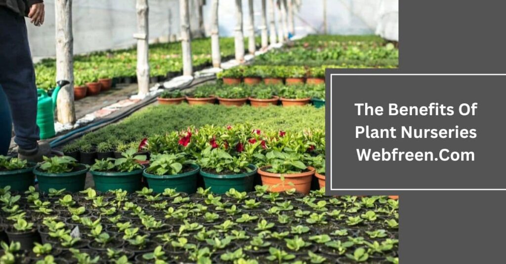 The Benefits Of Plant Nurseries Webfreen.Com