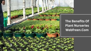 The Benefits Of Plant Nurseries Webfreen.Com